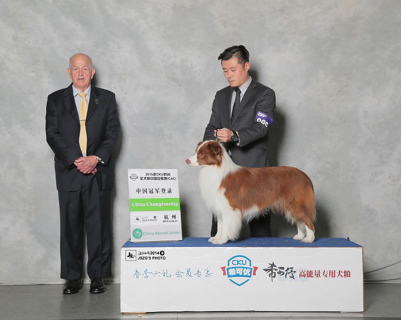 種公至尊寶（中國登陸冠軍）