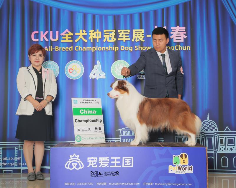 種公火箭（國內第一只咖啡三色登陸冠軍）